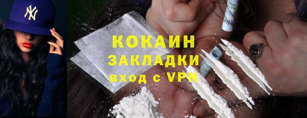 индика Белокуриха