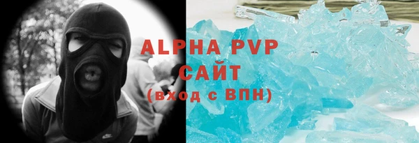 индика Белокуриха