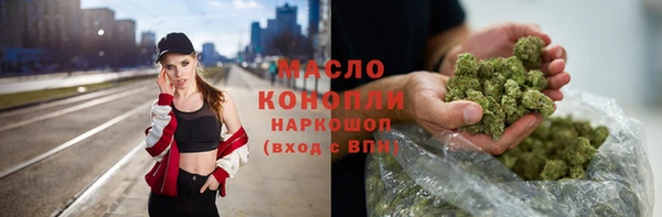 индика Белокуриха