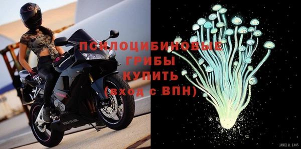 индика Белокуриха