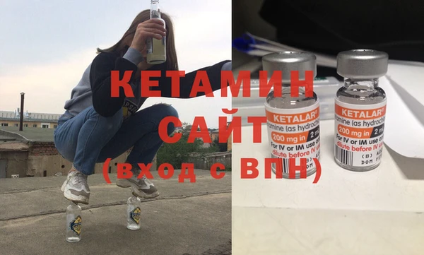 индика Белокуриха